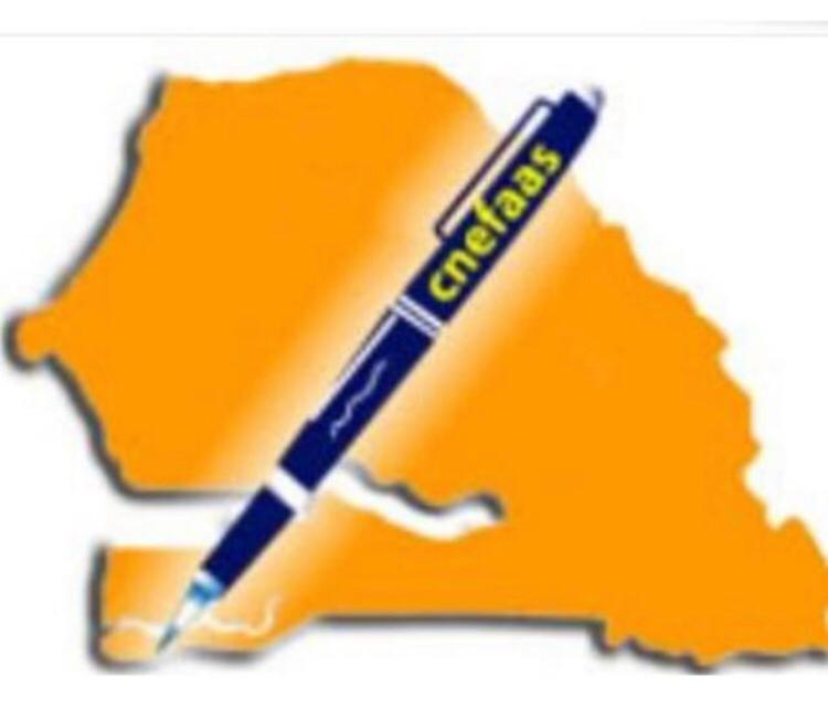 CNEFAAS Logo